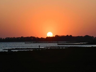 Apartment Marine Apartment in Kamperland - Environment photo 31