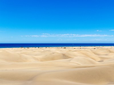 Bungalow Sun Club Casa Eduardo - Environment photo 21