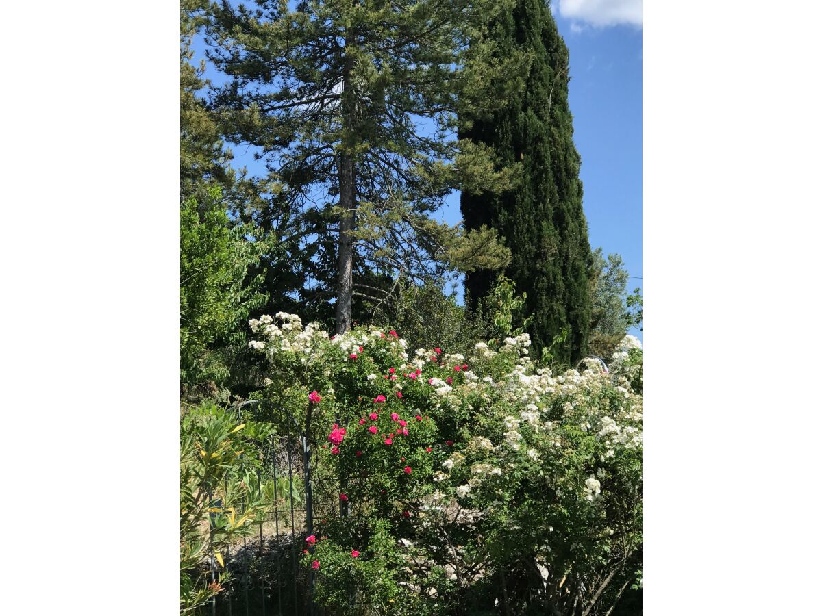 Holiday house Le Bourgnolle - Outdoor photo 5