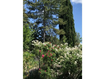 Holiday house Le Bourgnolle - Outdoor photo 5