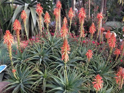 Holiday apartment Il Fiordo di Porto Pozzo - Outdoor photo 9