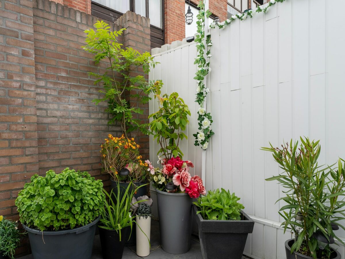 Holiday house Vlissingen Haus in Strandnähe - Outdoor photo 5