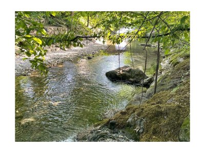 Holiday room Doppelzimmer, Dusche, WC, Gartenseitig - Outdoor photo 8