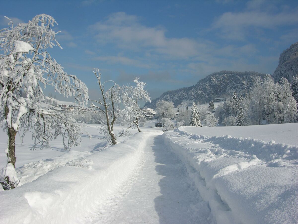 Apartment Appartement D mit 1 Schlafraum - Outdoor photo 4