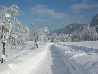 Apartment Appartement D mit 1 Schlafraum - Outdoor photo 4