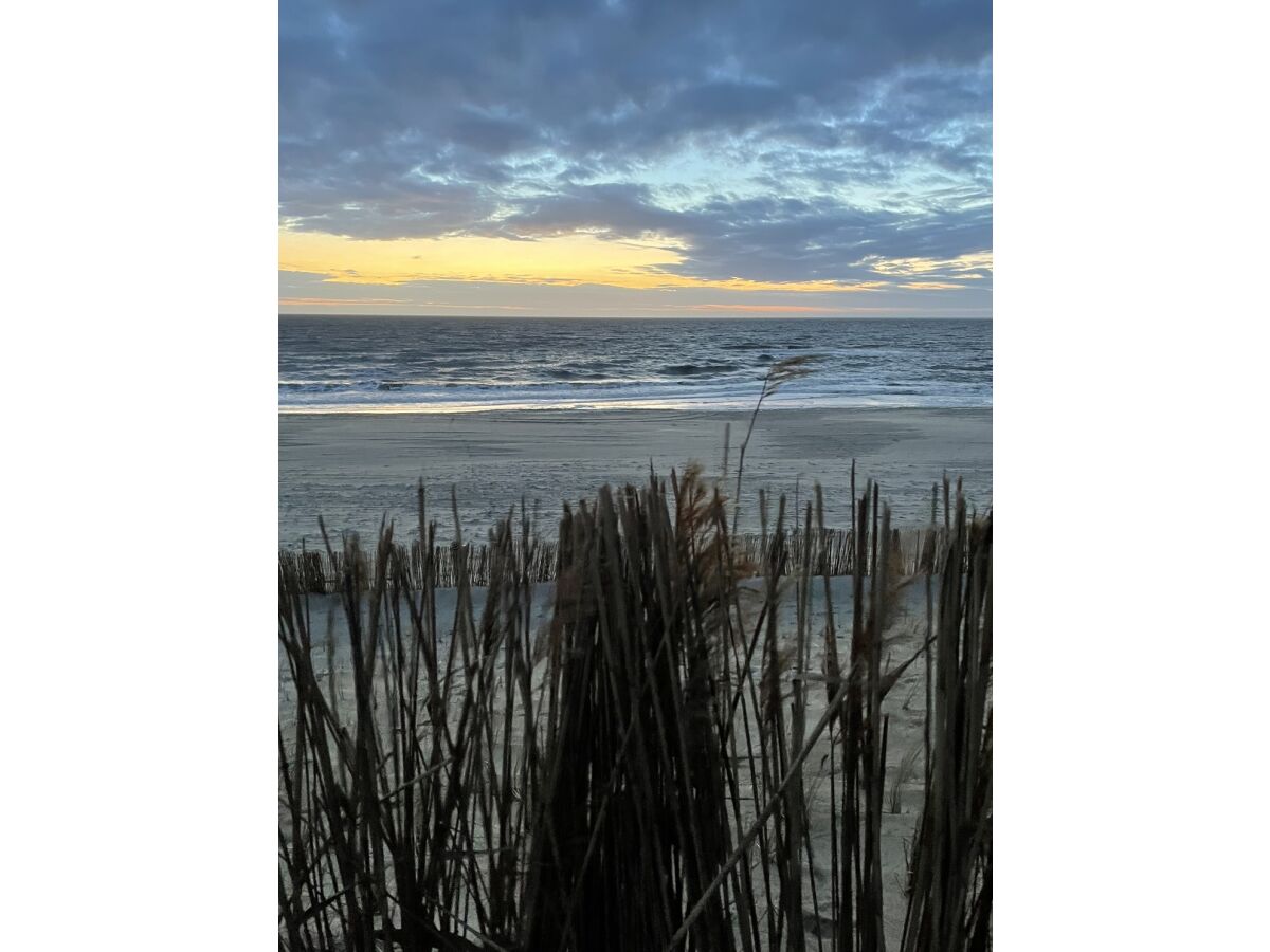 Holiday apartment Muijs - Outdoor photo 5