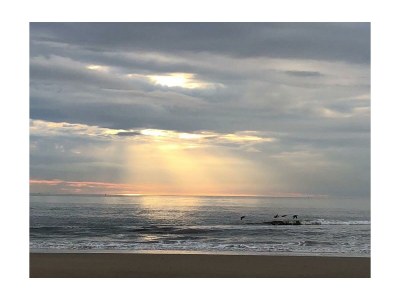 Holiday apartment Muijs - Environment photo 16