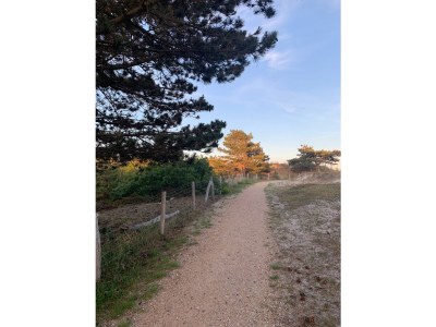 Holiday apartment Muijs - Environment photo 19