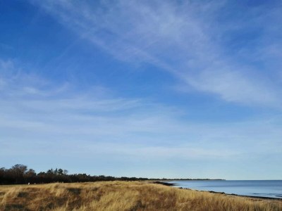 Holiday house 14 Personen Ferienhaus in Væggerløse-By Traum - Outdoor photo 13