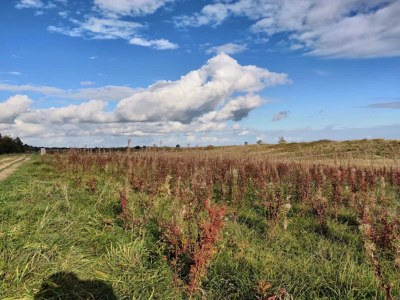 Holiday house 14 Personen Ferienhaus in Væggerløse-By Traum - Outdoor photo 22