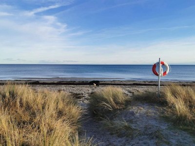 Holiday house 14 Personen Ferienhaus in Væggerløse-By Traum - Outdoor photo 67