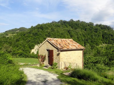 Holiday house La Casetta - Outdoor photo 7