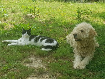 Holiday house La Casetta - Outdoor photo 11