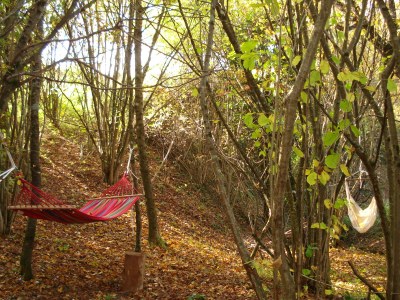 Holiday house La Casetta - Environment photo 17