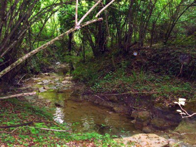 Holiday house La Casetta - Environment photo 18