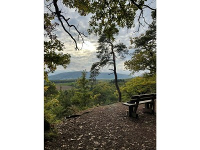 Holiday house Holiday home 1820 - Environment photo 19