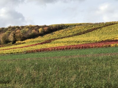 Holiday house Holiday home 1820 - Environment photo 20