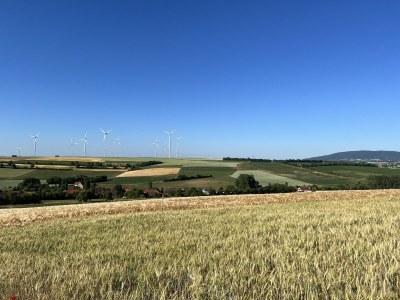 Holiday house Holiday home 1820 - Environment photo 21