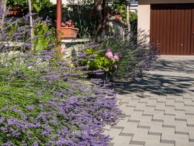 Holiday house MELITA cozy terrace and large garden - Outdoor photo 11