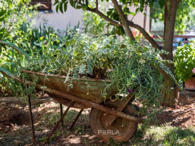 Holiday house MELITA cozy terrace and large garden - Outdoor photo 16