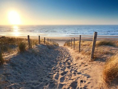 Chalet Florence 4 - Environment photo 31