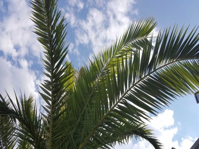 Apartment Rooms Milena - Triple Room with  External Private Bathroom - Outdoor photo 15