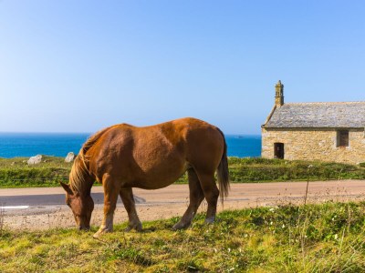 Holiday house KER STIVELL - Landunvez - Environment photo 40