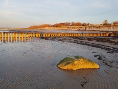 Holiday house Sonnenberg thatched roof - Environment photo 21
