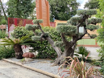 Mobile home Chalet at the Campingclub House - Environment photo 18