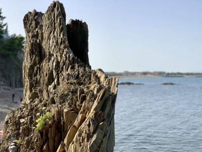 Mobile home Chalet at the Campingclub House - Environment photo 20