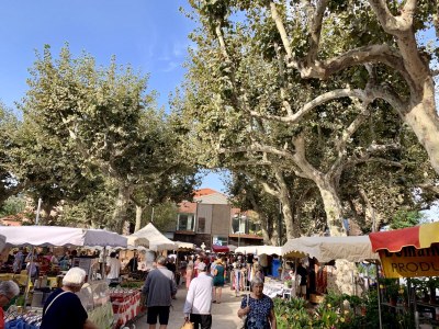 Mobile home Chalet at the Campingclub House - Environment photo 22