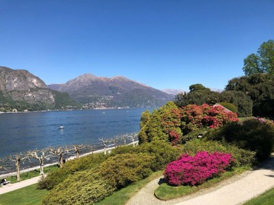 Apartment Panorama Apartment Nesso 1 - Environment photo 27