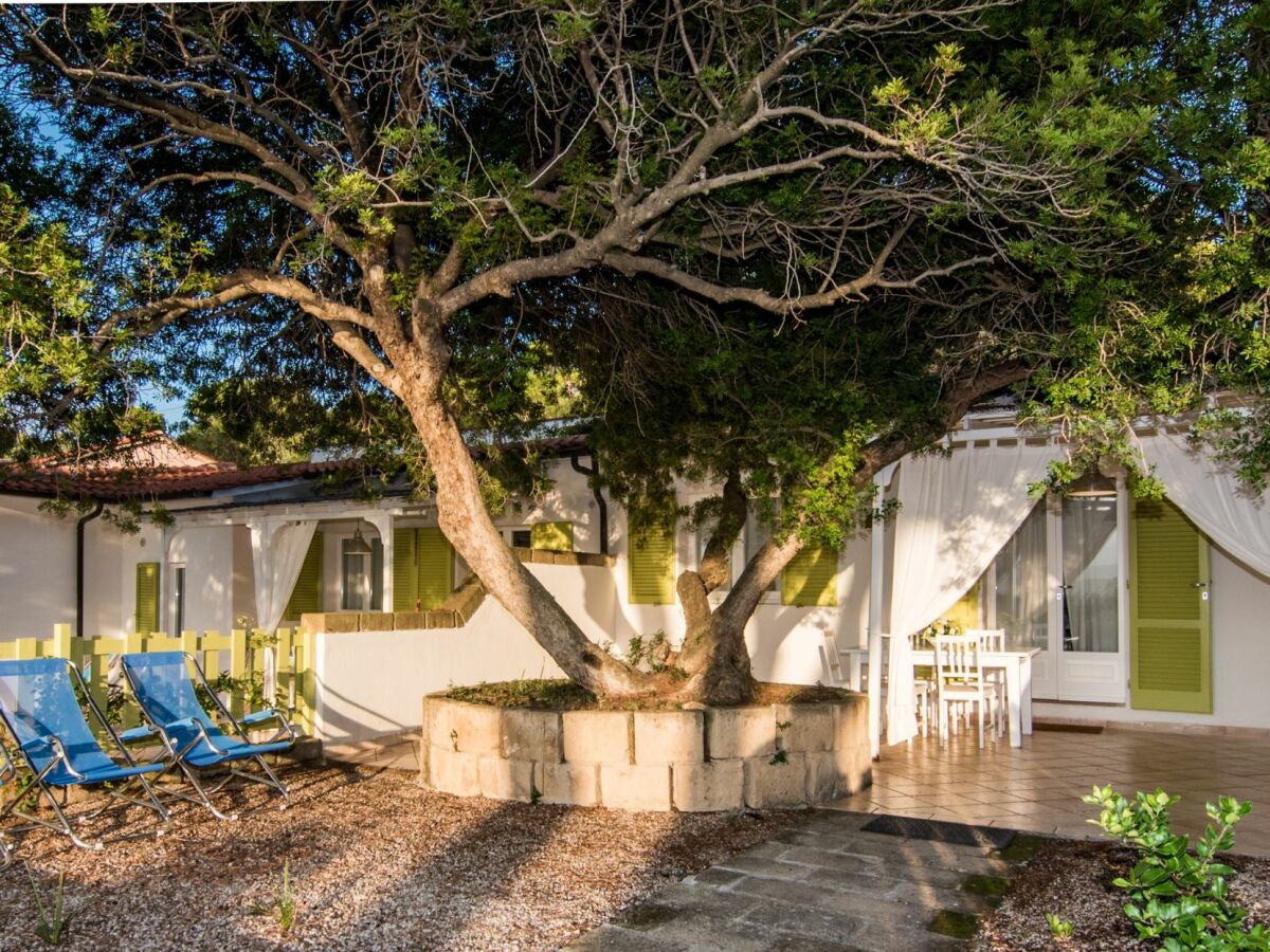 Apartment LES BOUGANVILLES BY SOLTURELBA - COLIBRÌ 3 - Outdoor photo 4