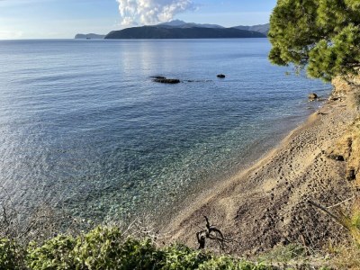 Apartment LES BOUGANVILLES BY SOLTURELBA - COLIBRÌ 3 - Environment photo 13