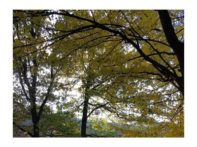 Holiday house Hennesee-Chalet - Environment photo 33