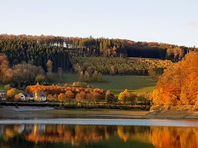 Holiday house Hennesee-Chalet - Environment photo 34