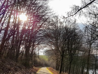 Holiday house Hennesee-Chalet - Environment photo 35