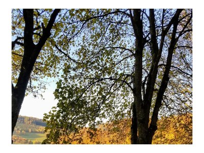 Holiday house Hennesee-Chalet - Environment photo 36