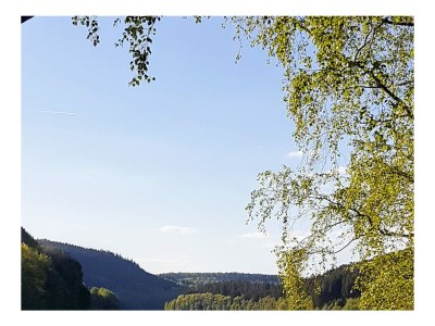 Holiday house Hennesee-Chalet - Environment photo 37