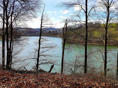 Holiday house Hennesee-Chalet - Environment photo 38