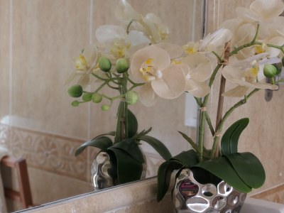 Holiday house 0521 Casa Vista del Campo - Features photo 19