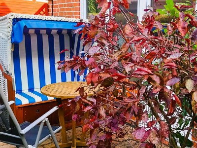 Holiday apartment Achtern Diek - Outdoor photo 3