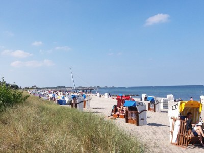 Holiday apartment Achtern Diek - Environment photo 19