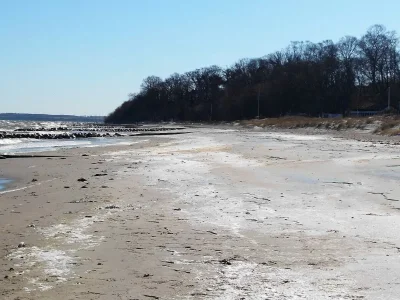 Holiday apartment Achtern Diek - Environment photo 23