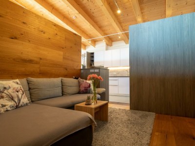 Apartment Appartement/Fewo, Dusche, WC, 1 Schlafraum - Features photo 11