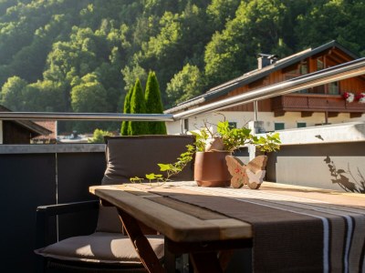 Apartment Appartement/Fewo, Dusche, WC, 1 Schlafraum - Features photo 14