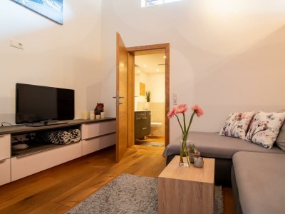 Apartment Appartement/Fewo, Dusche, WC, 1 Schlafraum - Features photo 17