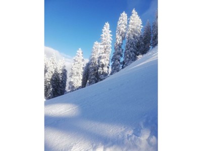 Apartment Appartement Rosi - Outdoor photo 21