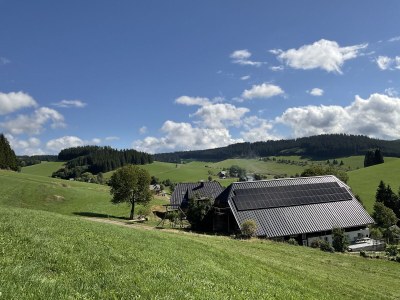 Holiday apartment Danielenhof1701, Bruckbach apartment - Outdoor photo 5