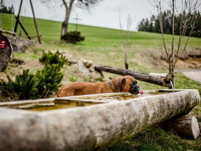 Holiday apartment Danielenhof1701, Bruckbach apartment - Outdoor photo 9